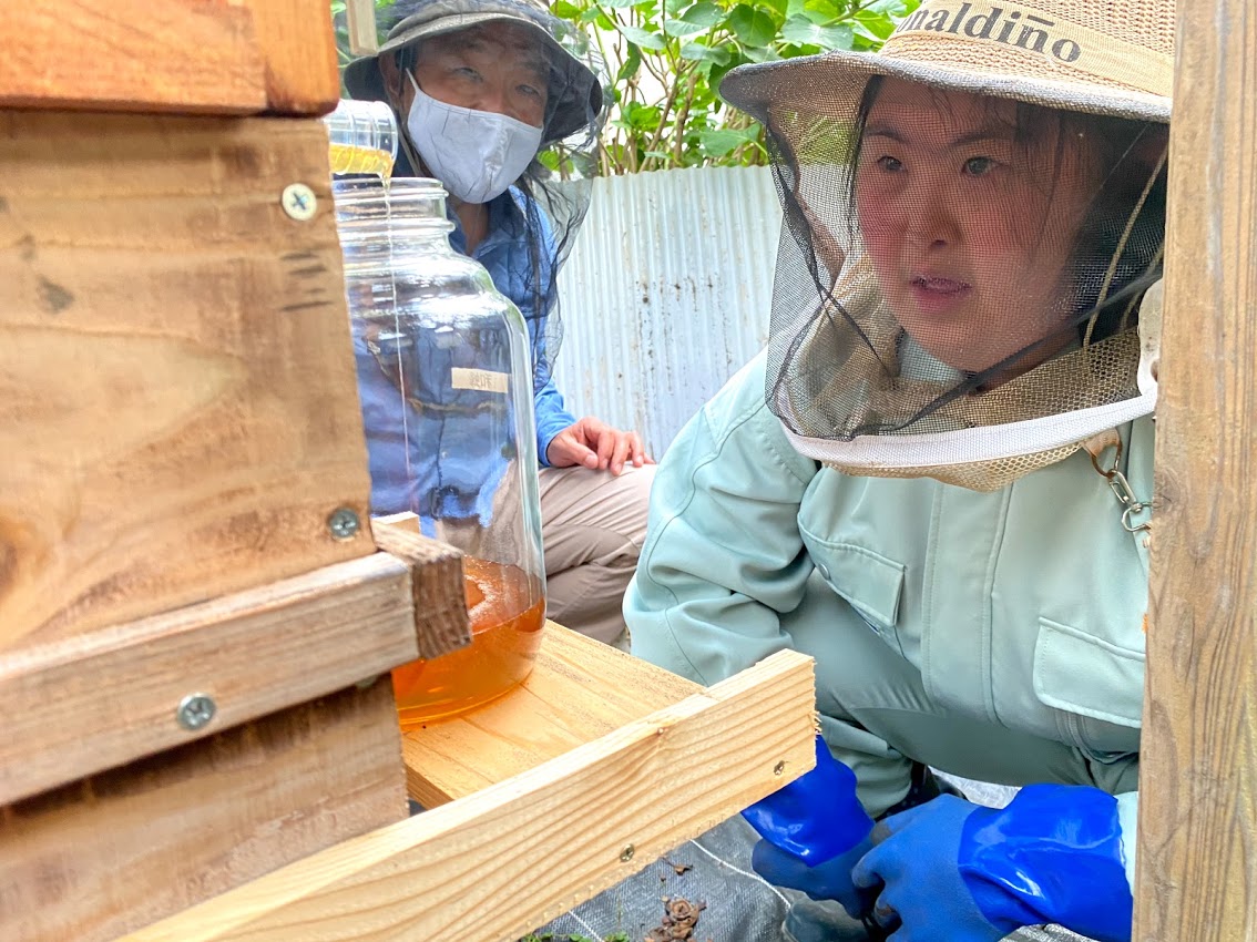 農福連携養蜂の現場